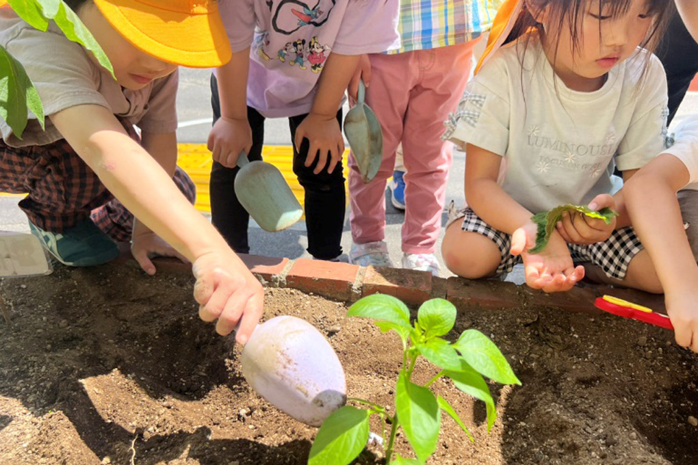 繭の糸 こども園：植物のお世話