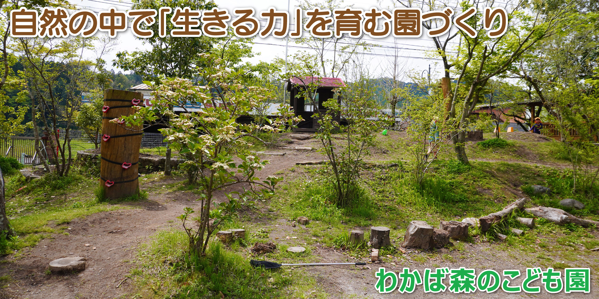 わかば森のこども園──自然の中で「生きる力」を育む園づくり