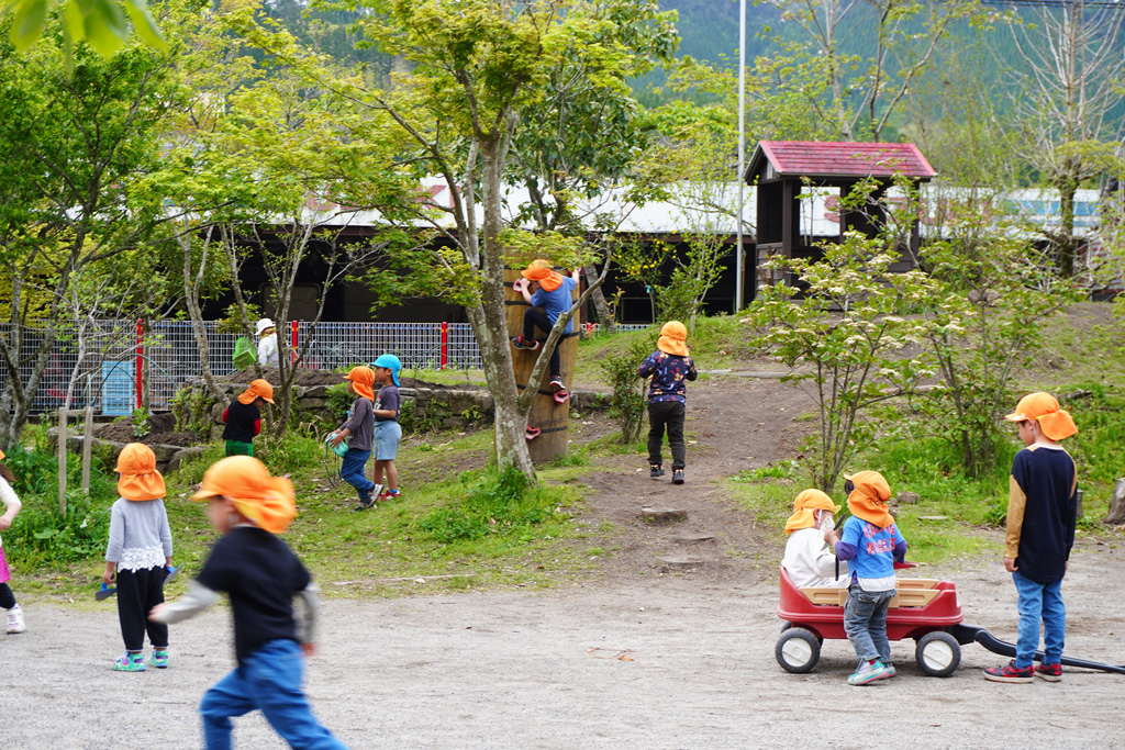 わかば森のこども園：園庭