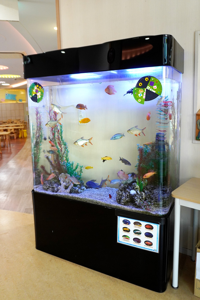 橋場そらとみどりの保育園大きなおうち:水槽