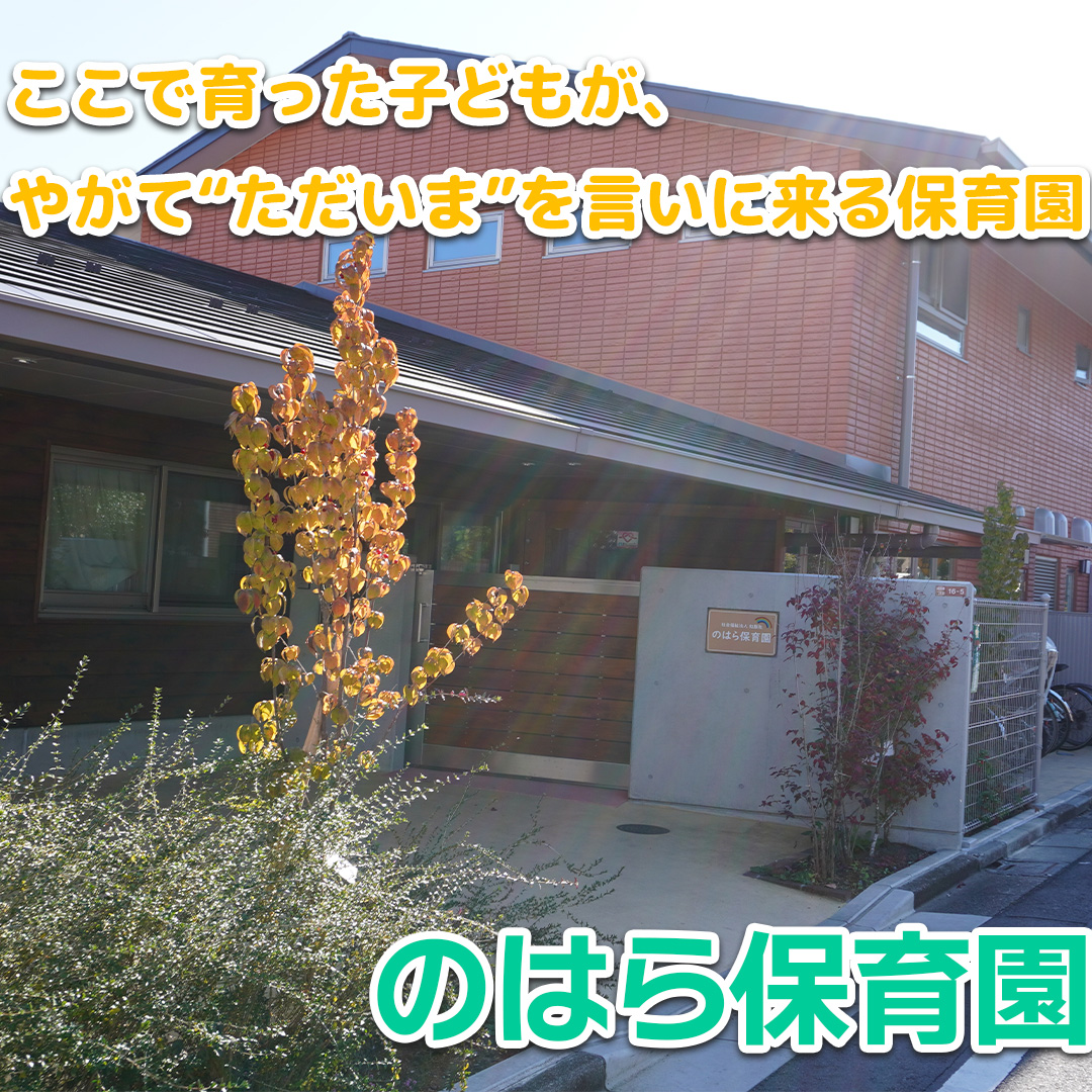 のはら保育園――ここで育った子どもが、やがて“ただいま”を言いに来る保育園。
