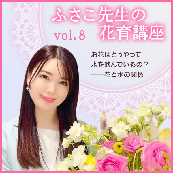 第8回　お花はどうやって水を飲んでいるの？──花と水の関係