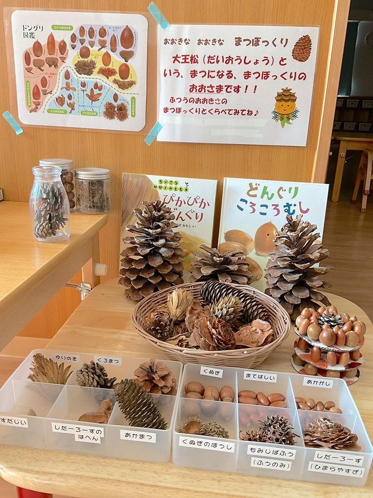 愛光みなみ保育園サンクレール:どんぐり