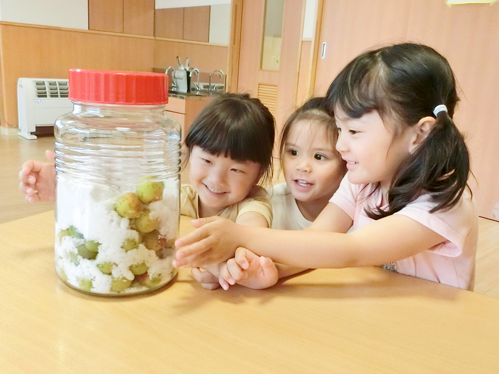 愛光みなみ保育園サンクレール:梅ジュースづくり