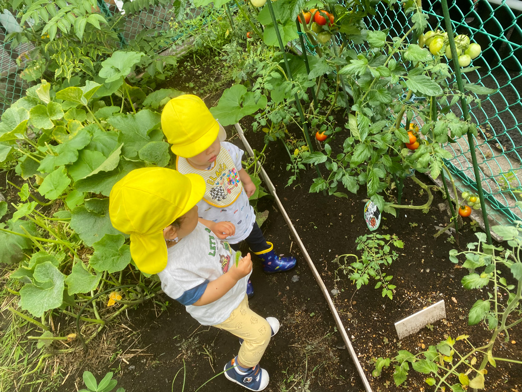 北池袋さくらキッズ保育園
