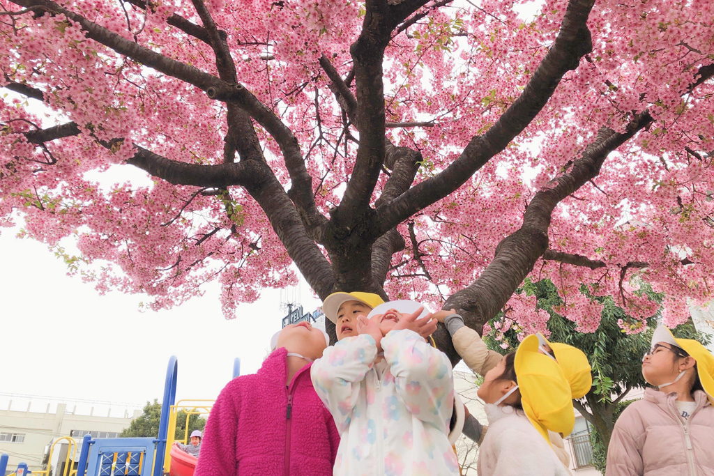 ヒューマンアカデミー蒲田保育園